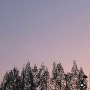 Meet your Posher, Elle